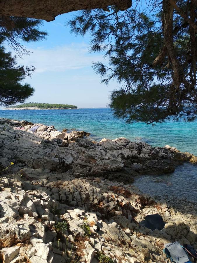 Apartments Villa Sibenik Primošten Εξωτερικό φωτογραφία